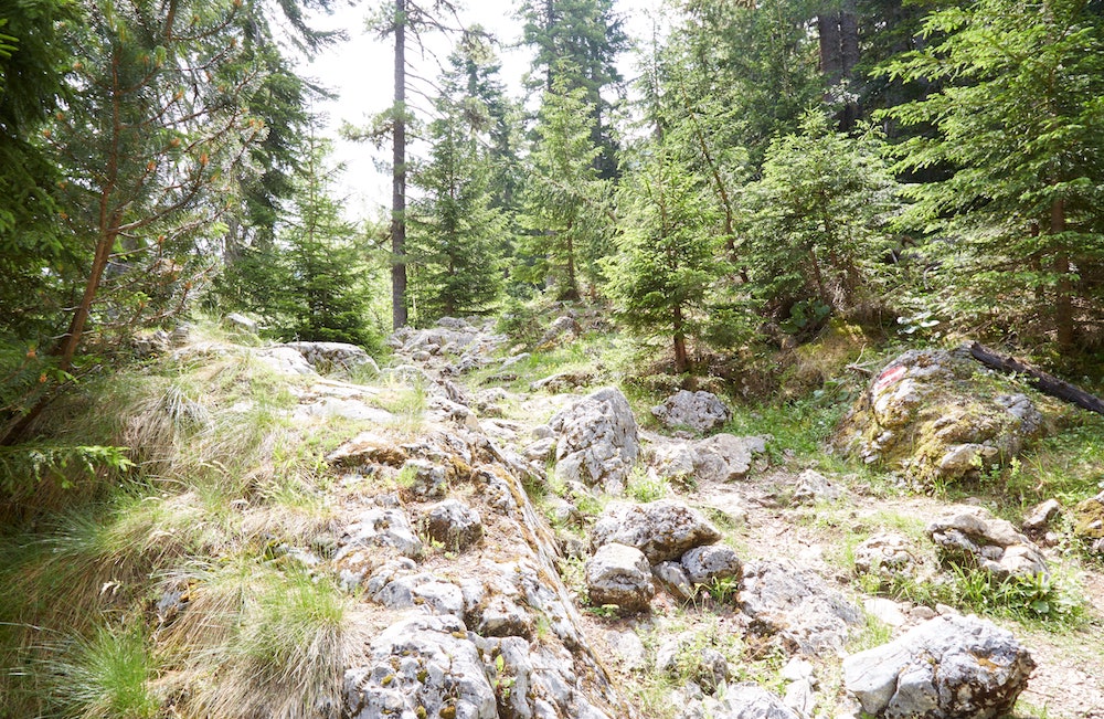 Hiking in the Rugova Valley