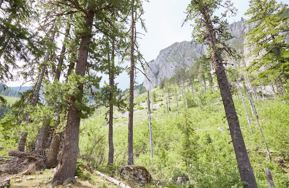 Hiking in the Rugova Valley