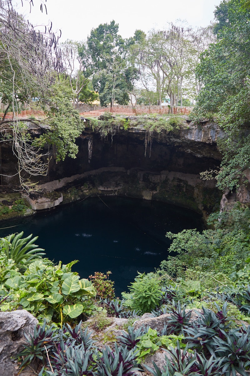 Cenote Zaci Things to Do in Valladolid