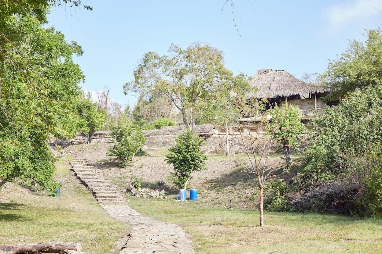 El Tajín Guide