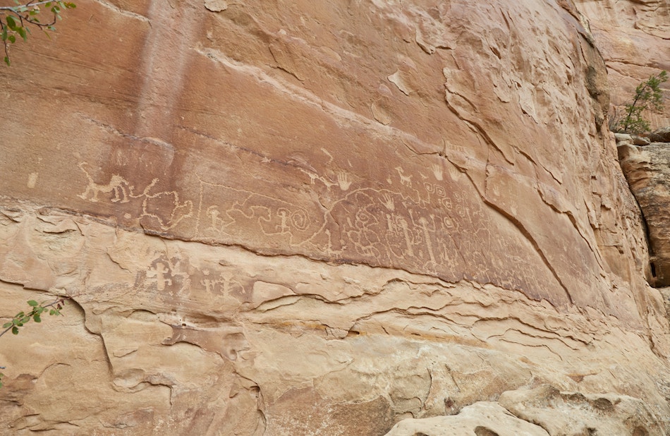 Petroglyph Trail Mesa Verde Guide