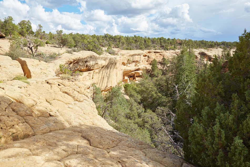 Petroglyph Trail Mesa Verde Guide
