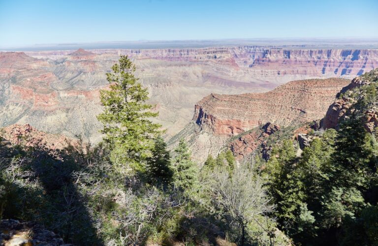 A Guide to the Overlooked Grand Canyon North Rim - Sailingstone Travel