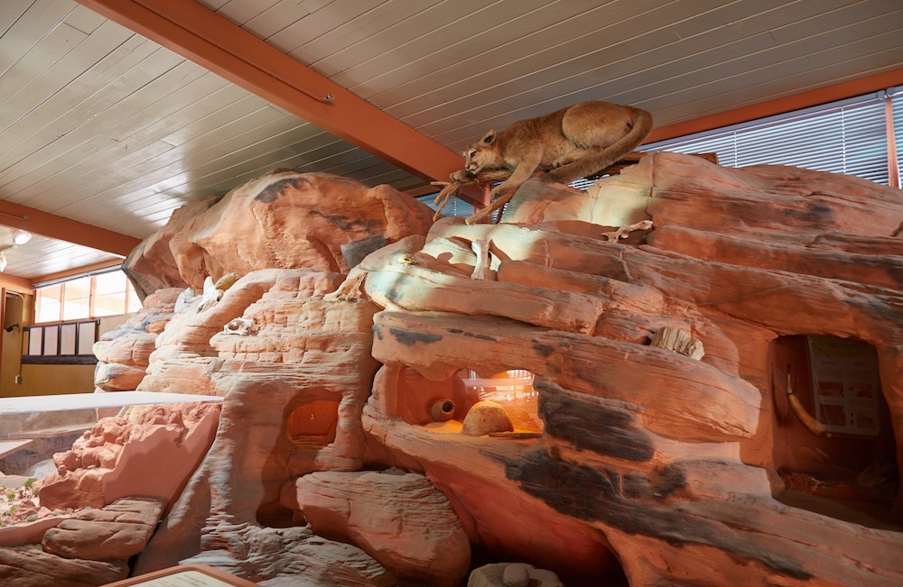 Visiting Valley of Fire State Park Guide