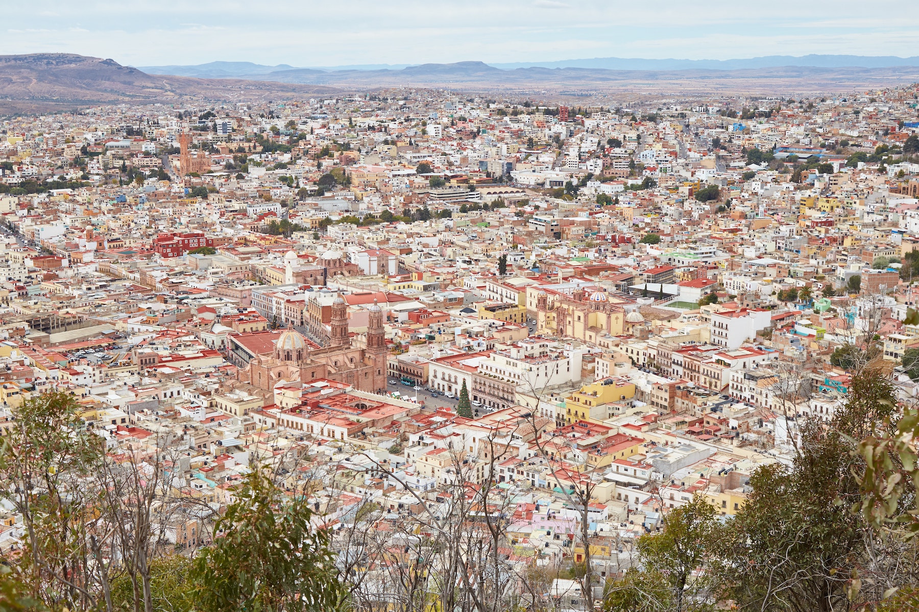 Zacatecas Guide