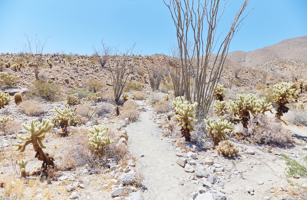 Anza-Borrego Desert State Park