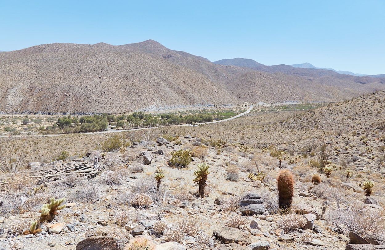 Anza-Borrego Desert State Park