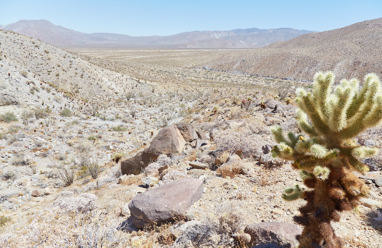 Anza-Borrego Desert State Park