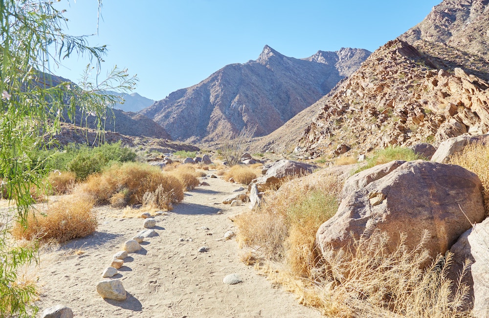 Anza-Borrego Desert State Park