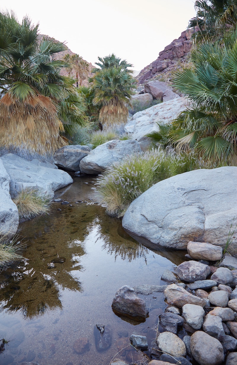 Anza-Borrego Desert State Park