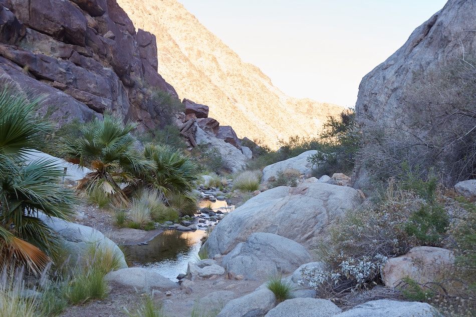 Anza-Borrego Desert State Park