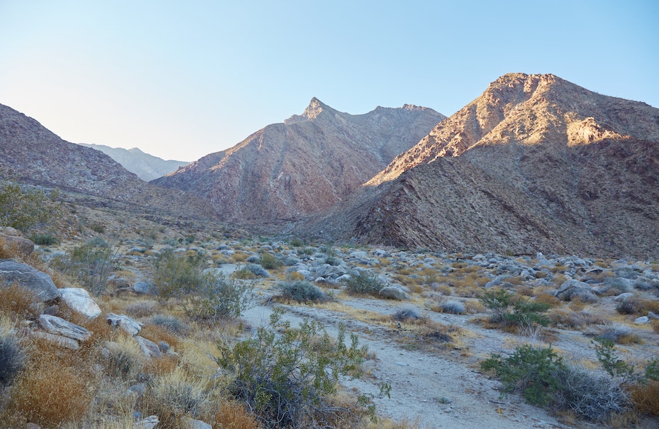 Anza-Borrego Desert State Park