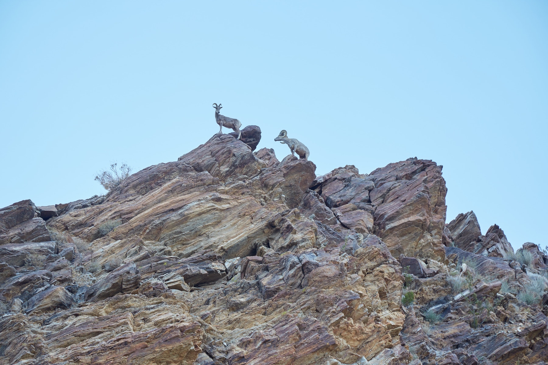Anza-Borrego Desert State Park