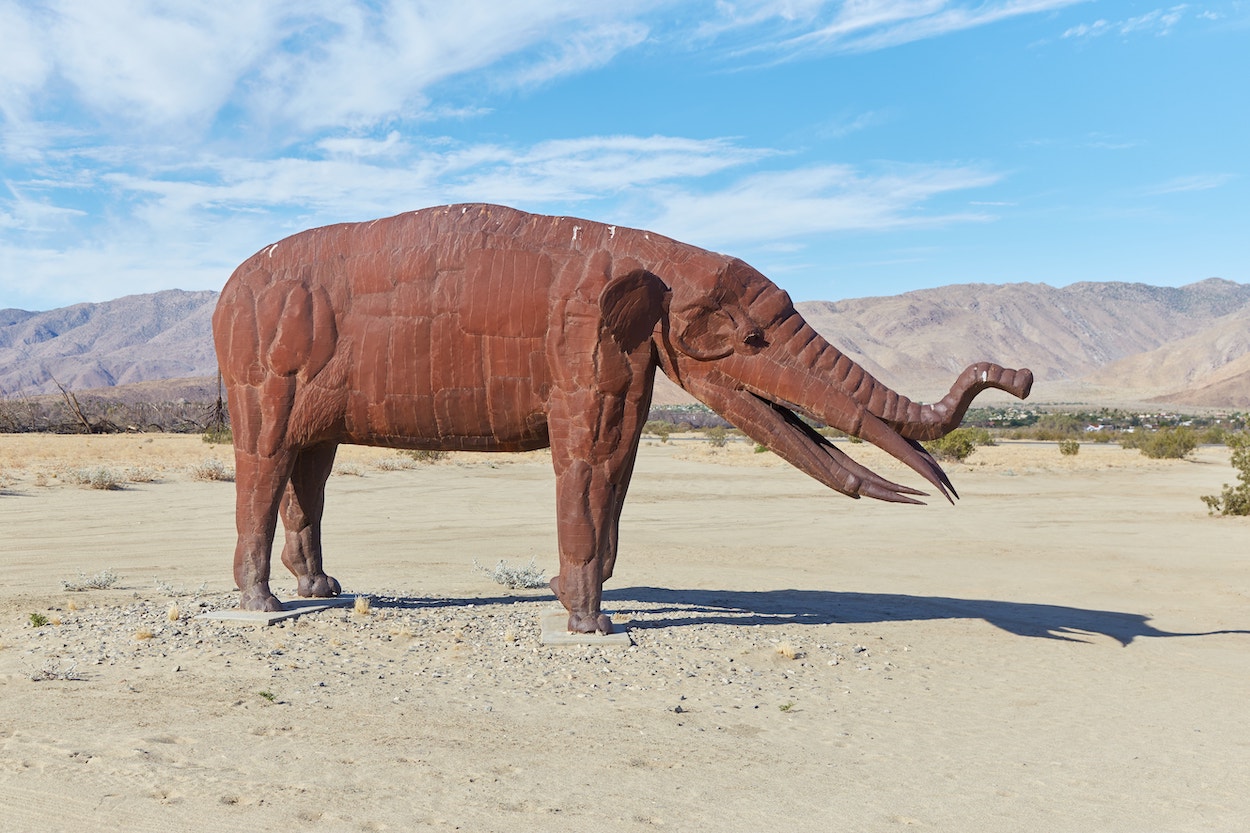 Anza-Borrego Desert State Park