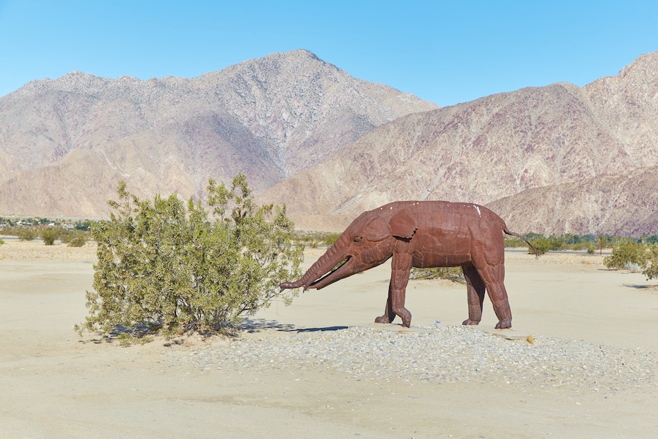 Anza-Borrego Desert State Park