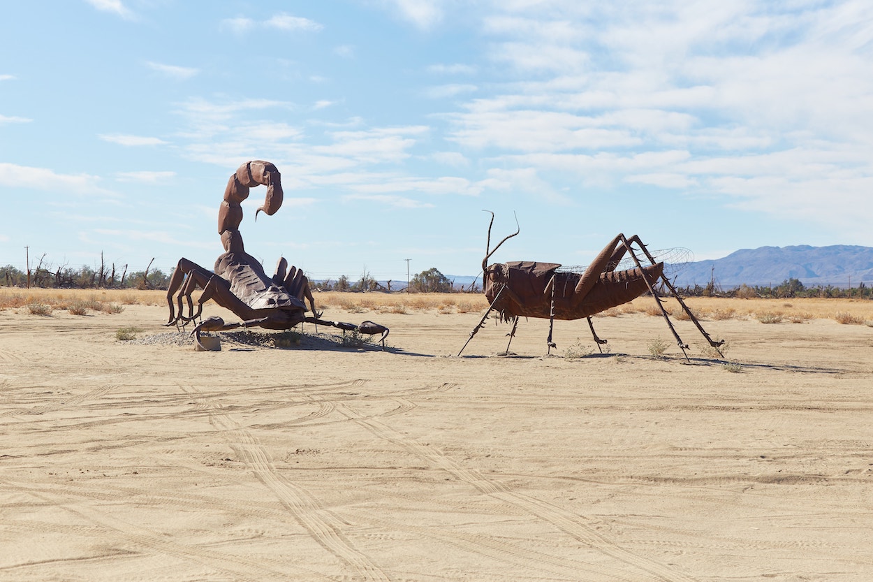 Anza-Borrego Desert State Park