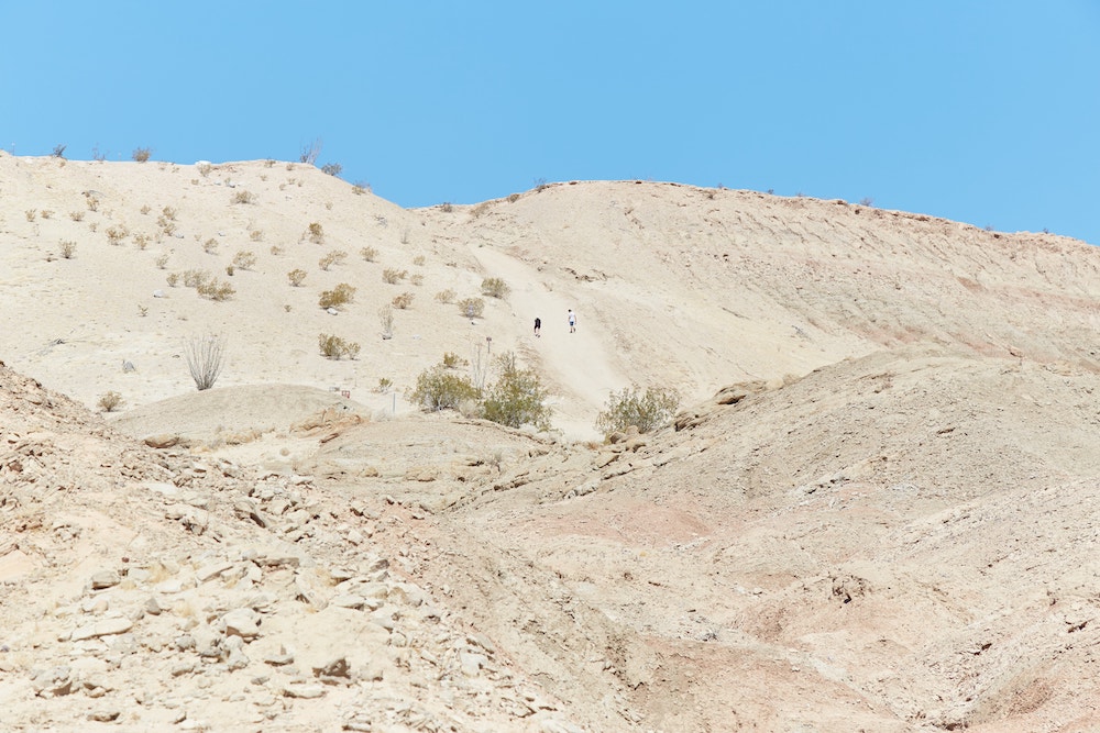 Anza-Borrego Desert State Park