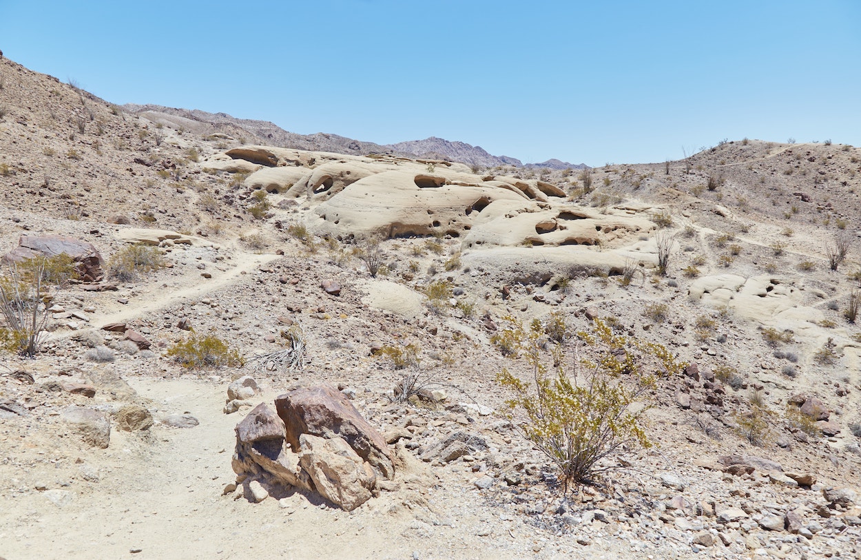 Anza-Borrego Desert State Park