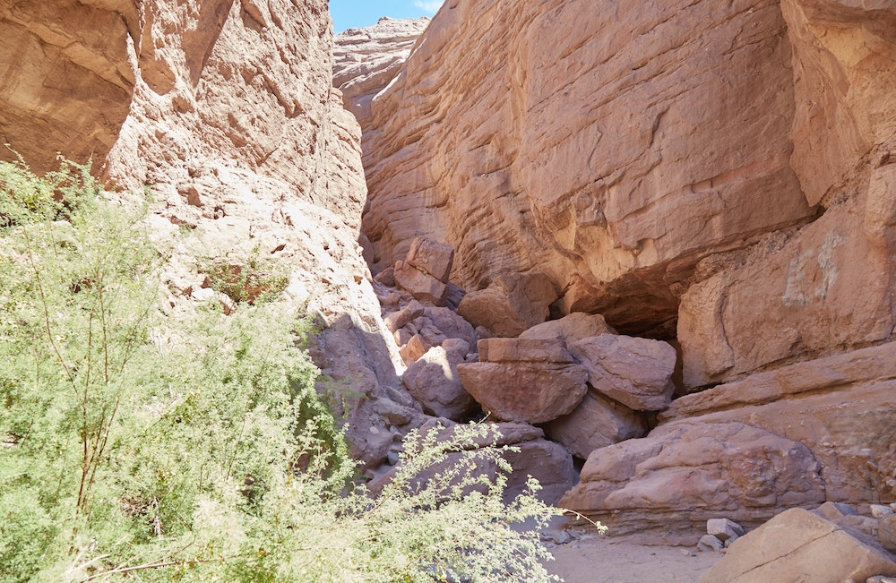 Ladder Canyon and Painted Canyon Loop Trail