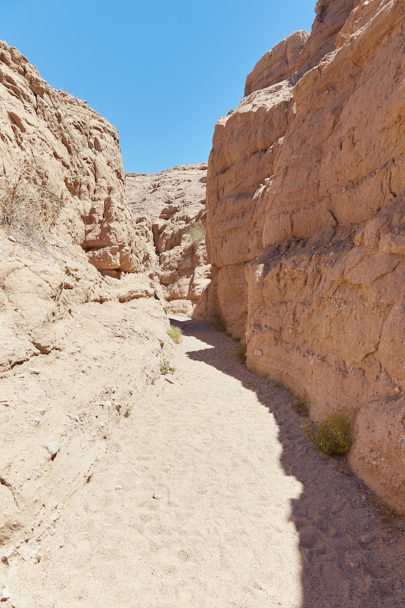 Ladder Canyon and Painted Canyon Loop Trail