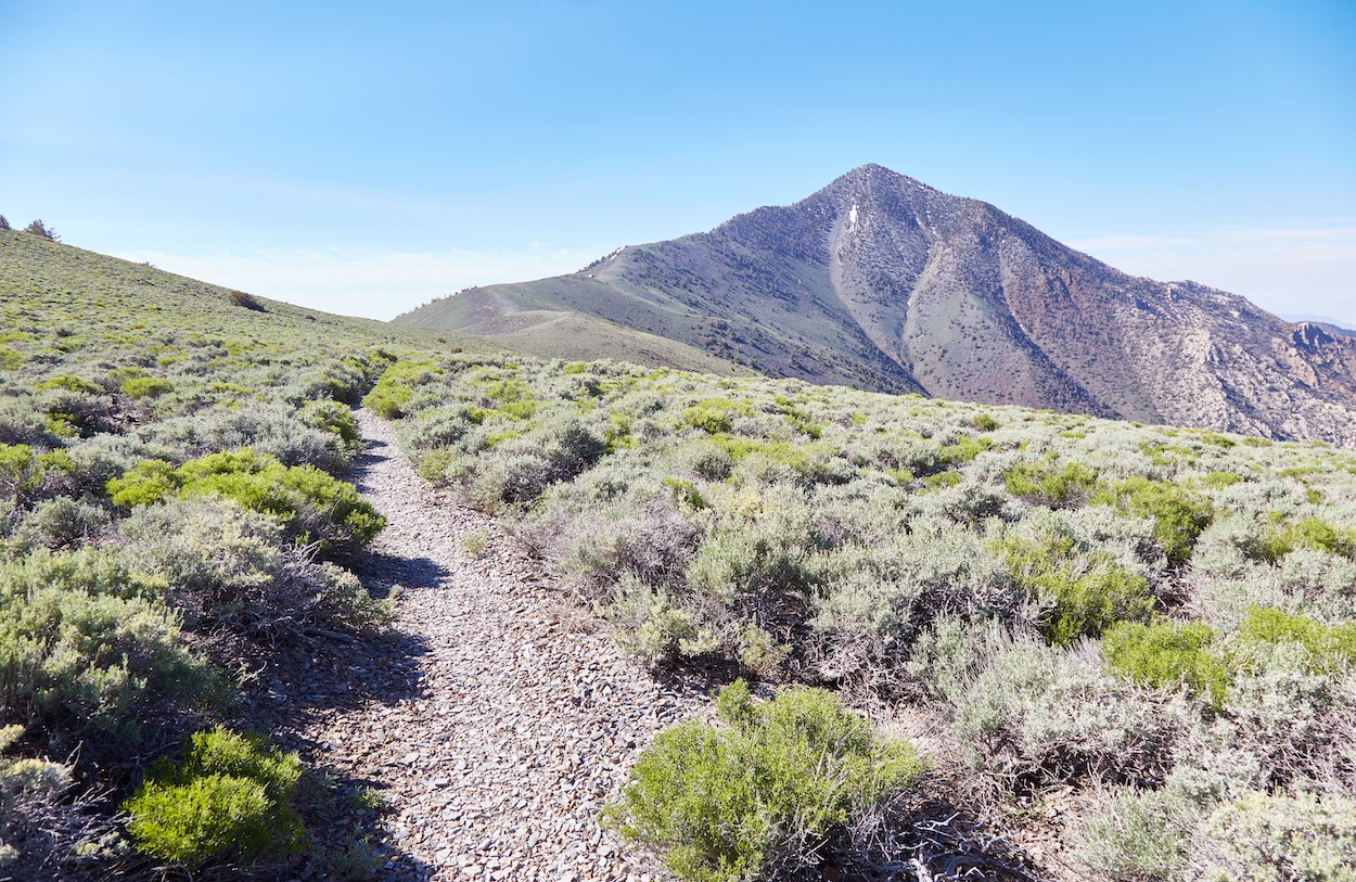 Hiking Telescope Peak