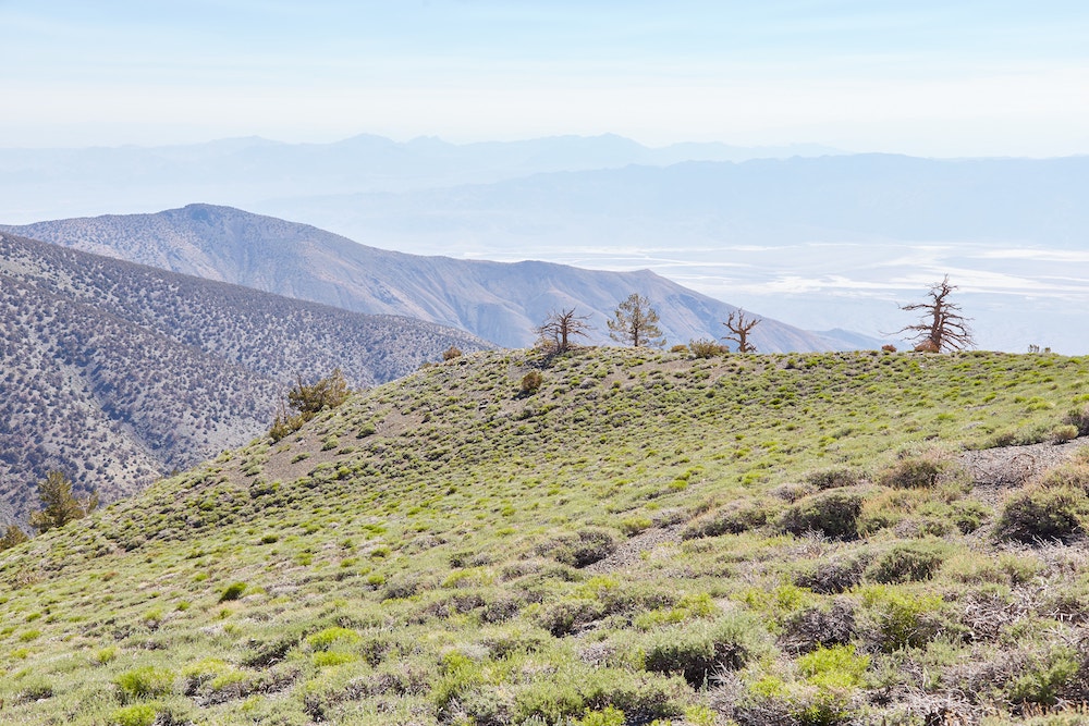 Hiking Telescope Peak