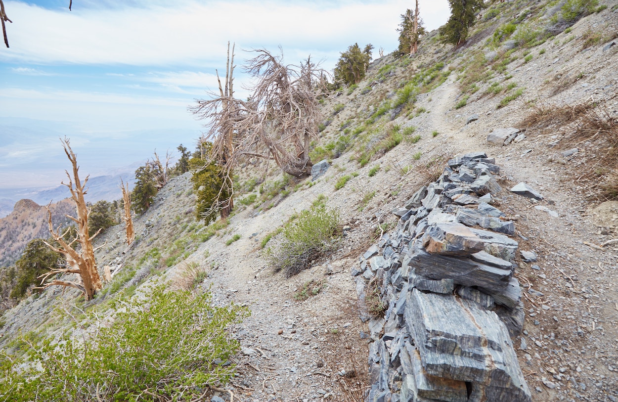 Hiking Telescope Peak