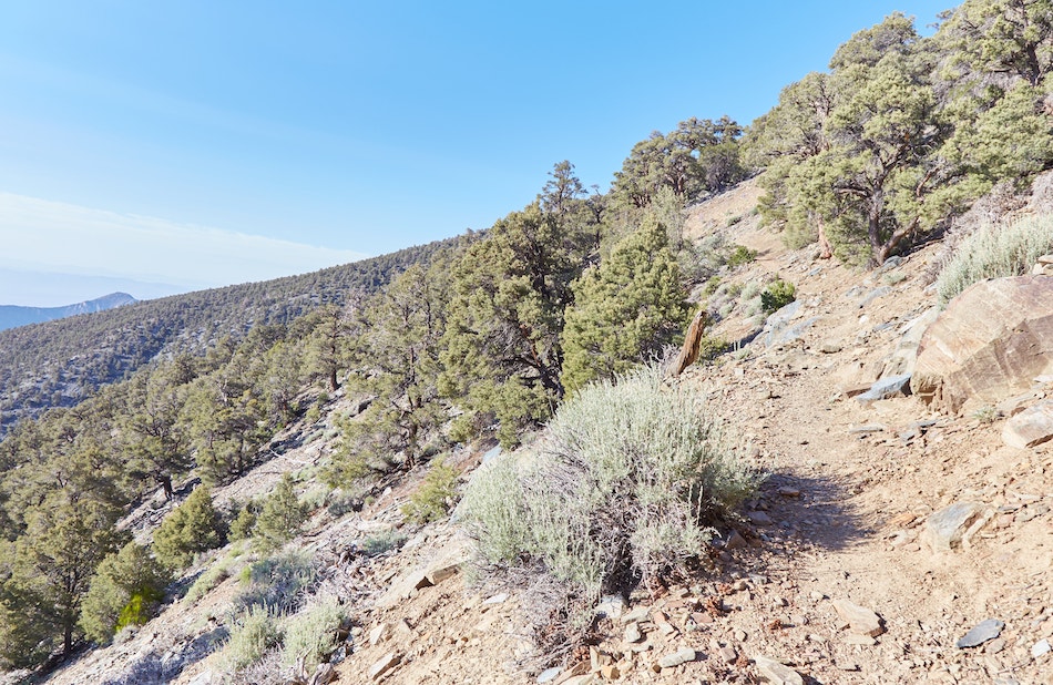 Hiking Telescope Peak