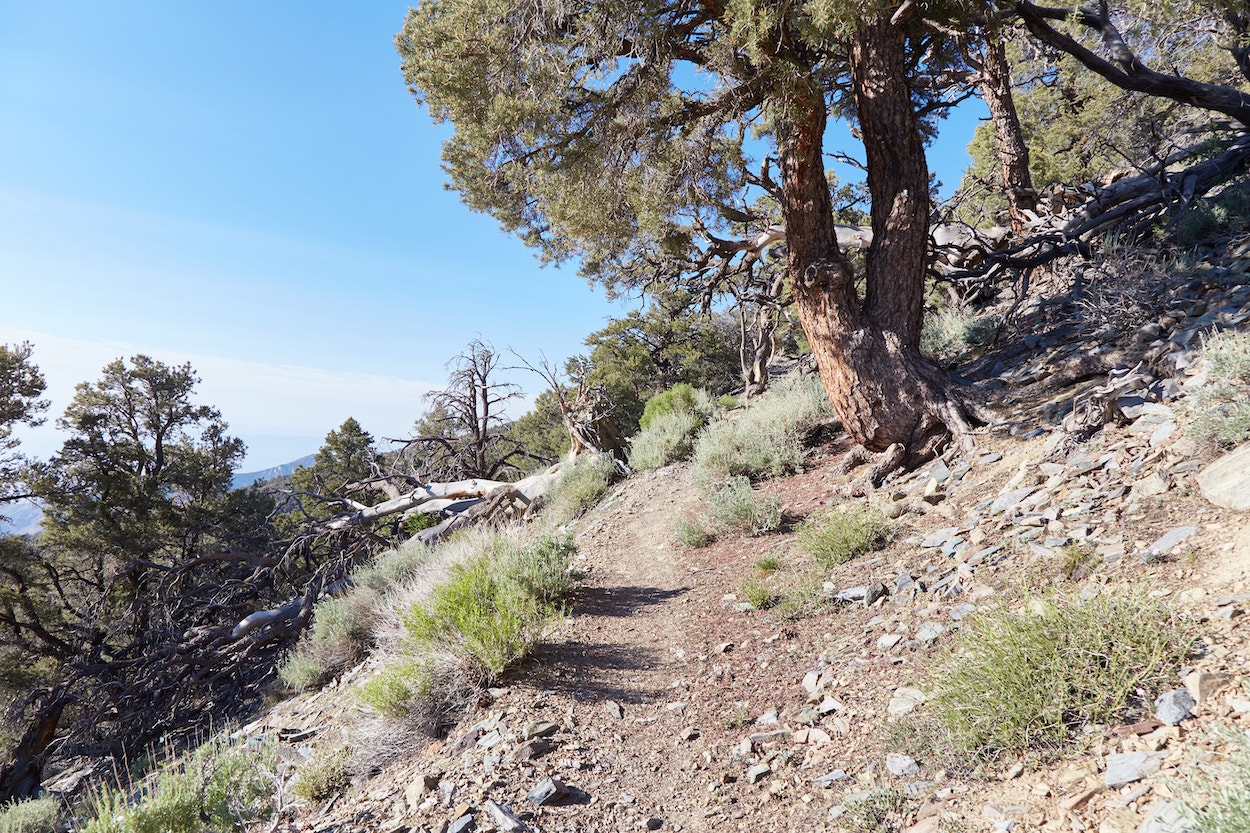 Hiking Telescope Peak