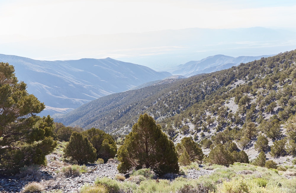 Hiking Telescope Peak