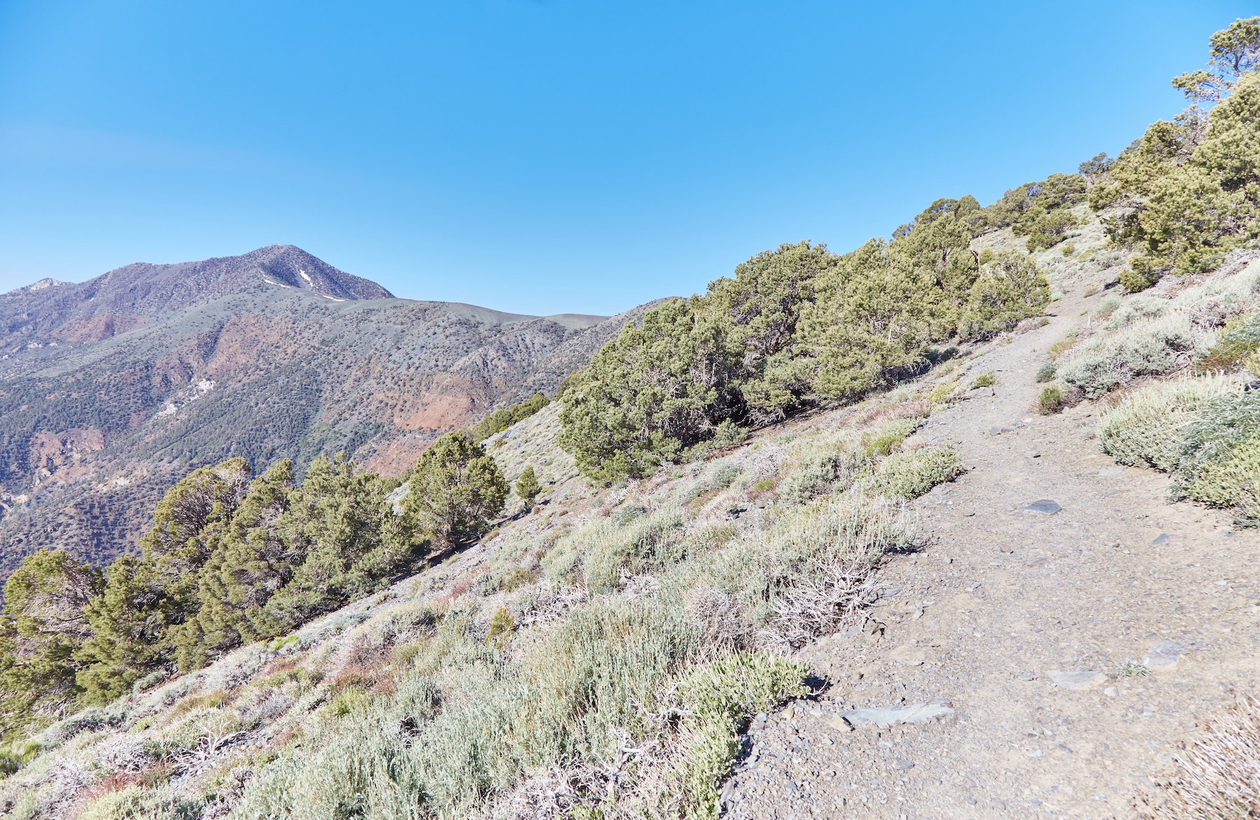 Hiking Telescope Peak