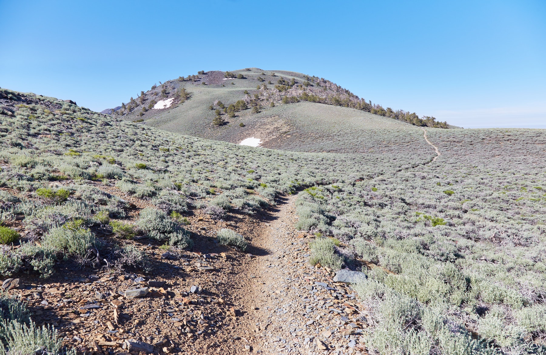 Hiking Telescope Peak