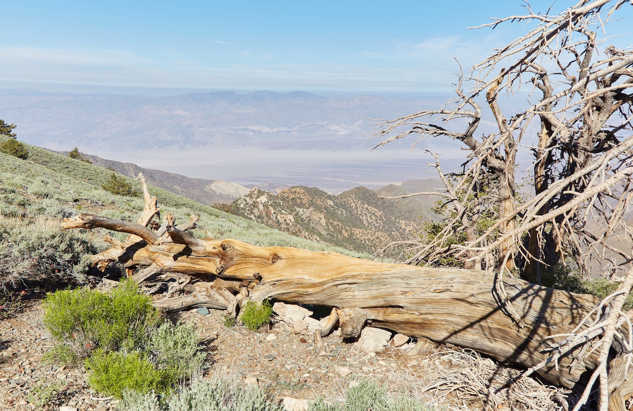 Hiking Telescope Peak