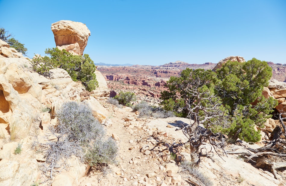 Hiking Navajo Knobs