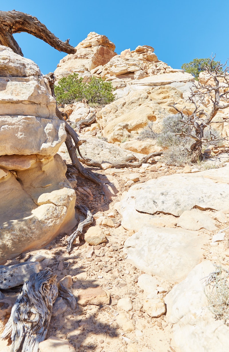 Hiking Navajo Knobs