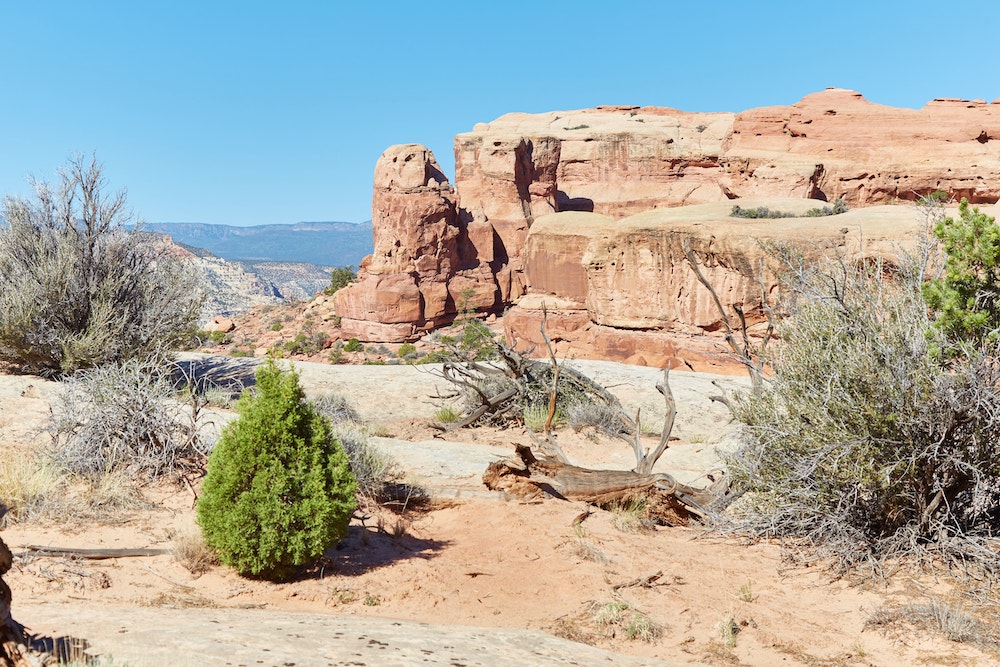 Hiking Navajo Knobs