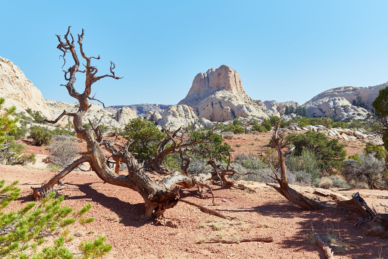 Hiking Navajo Knobs