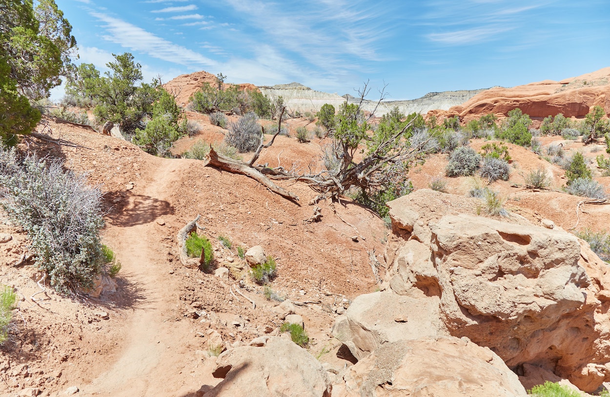 Kodachrome Basin State Park Panorama Trail