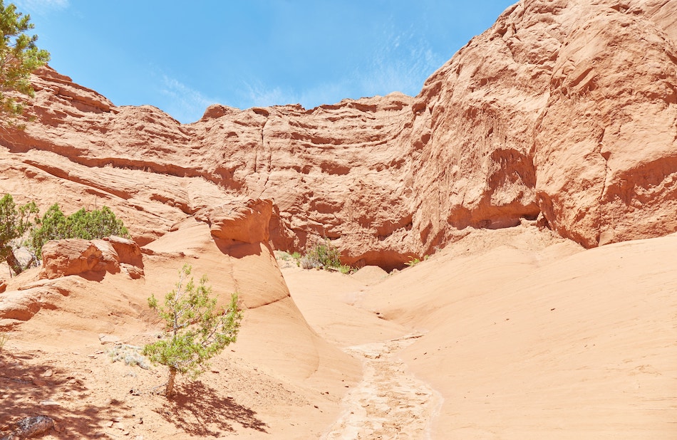 Kodachrome Basin State Park Panorama Trail