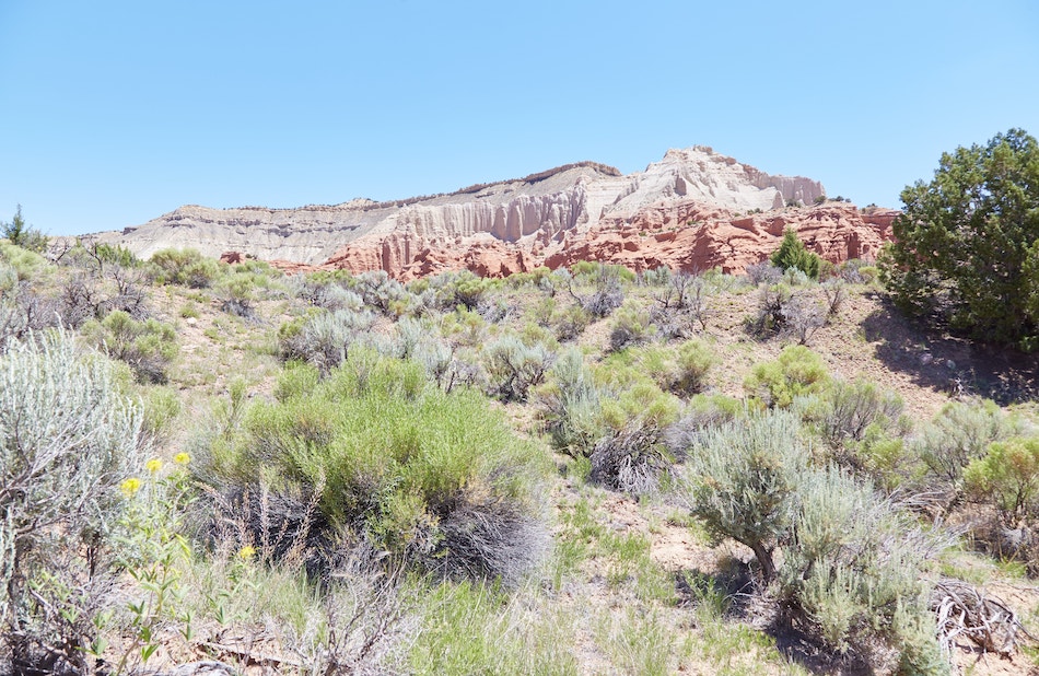 Kodachrome Basin State Park Panorama Trail