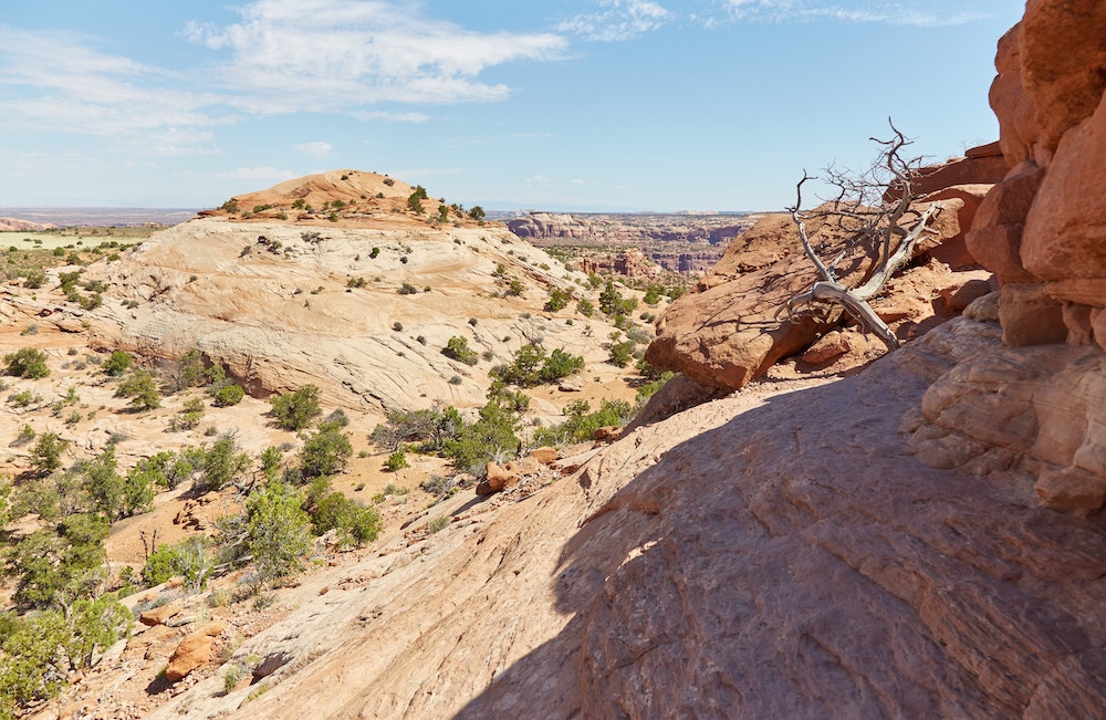 Island in The Sky Aztec Butte