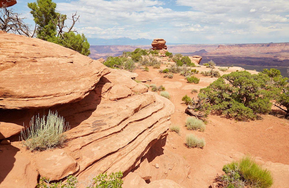 Island in The Sky White Rim Overlook