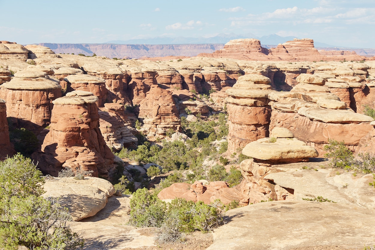 The Needles District Canyonlands