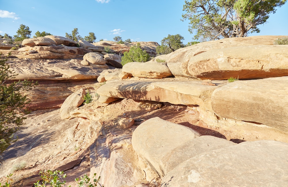 The Needles District Canyonlands