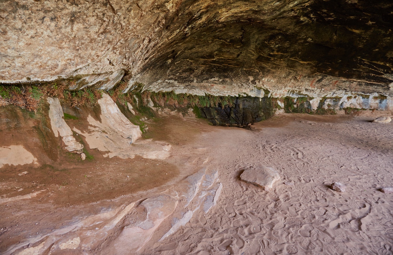 The Needles District Canyonlands