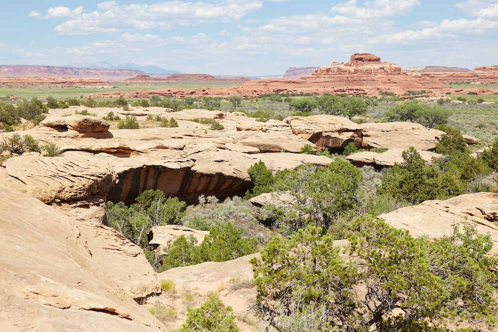 The Needles District Canyonlands