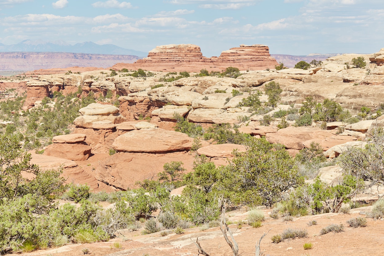 The Needles District Canyonlands