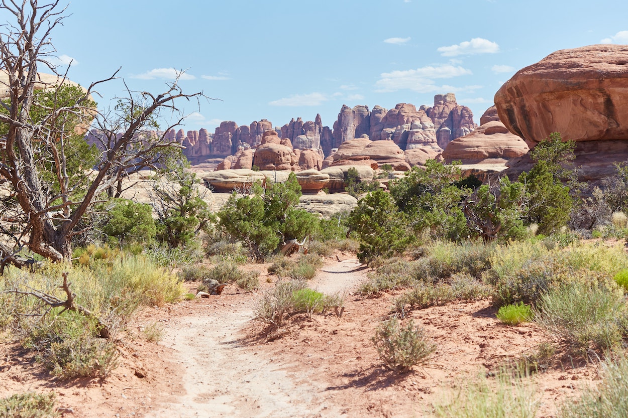 The Needles District Canyonlands