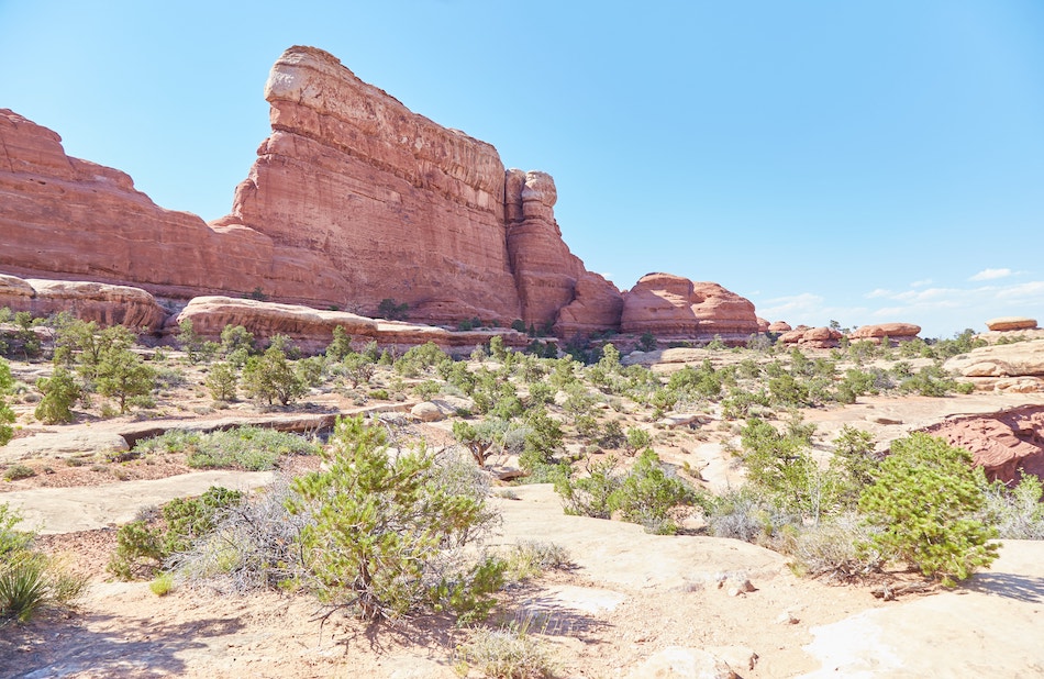 The Needles District Canyonlands